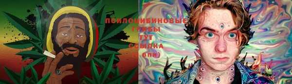 2c-b Арсеньев