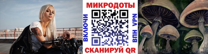 Галлюциногенные грибы Cubensis  цены   Первомайск 